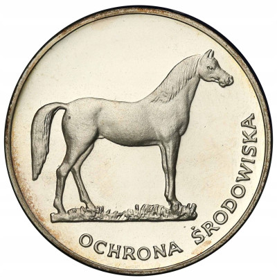 100 złotych 1981 Koń Ochrona Środowiska