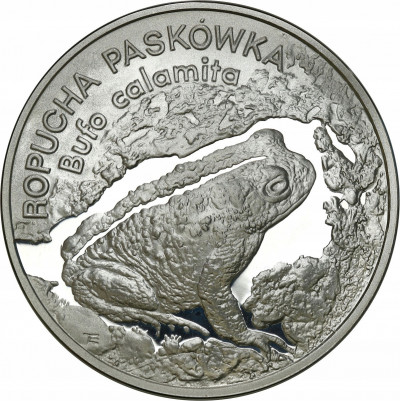 III RP 20 złotych 1998 Ropucha Paskówka