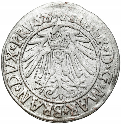 Prusy Ks. Hohenzollern Grosz 1541 Królewiec ŁADNY