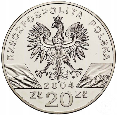 III RP 20 złotych 2004 Morświn