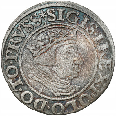 Zygmunt I Stary. Grosz 1538, Gdańsk