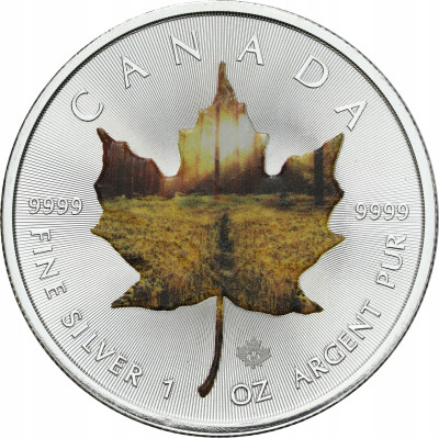 Kanada 5 dolarów 2015 liść klonu - SREBRO