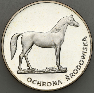 100 złotych 1981 Koń Ochrona Środowiska
