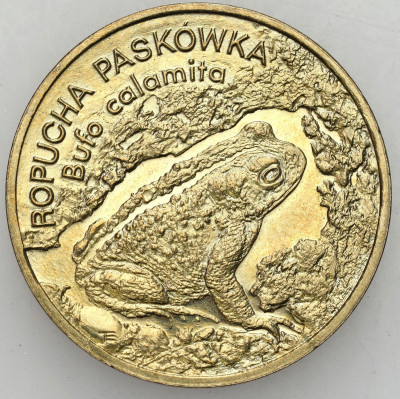III RP. 2 złote 1998, Ropucha Paskówka