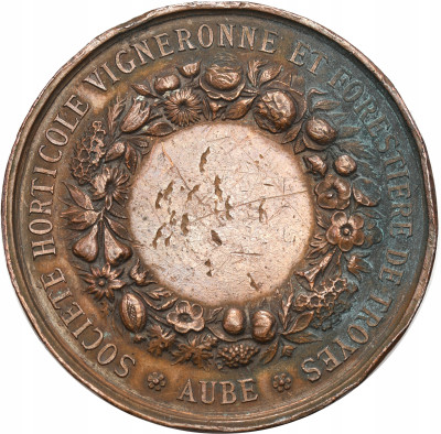 Francja, Napoleon III Medal bez daty. Wystawa.