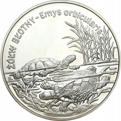III RP 20 złotych 2002 Żółw Błotny- SREBRO