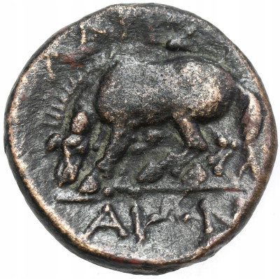 Grecja Tessalia-Larisa brąz AE-17 360-325 p. n. e.