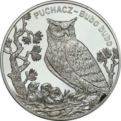 III RP 20 złotych 2005 Puchacz- SREBRO