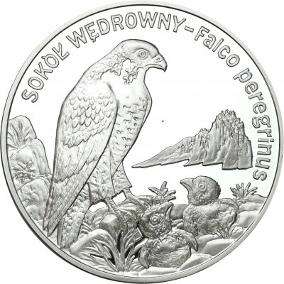 20 złotych 2008 - Sokół Wędrowny - SREBRO