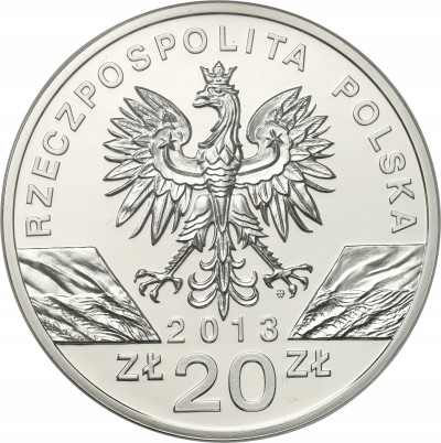 III RP 20 złotych 2013 Żubr- SREBRO
