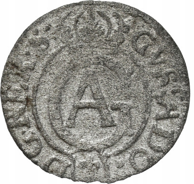 Gustaw II Adolf. Szeląg 1631, Elbląg – RZADSZY