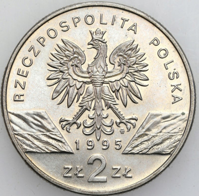 III RP. 2 złote 1995 Sum
