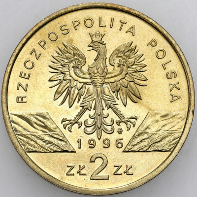 III RP. 2 złote 1996, Jeż - RZADSZE