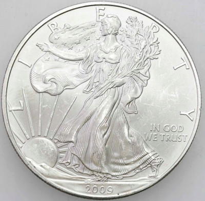 USA 1 dolar 2009 Liberty – UNCJA SREBRA