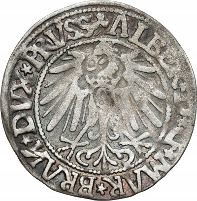 Prusy Książęce. Grosz 1545, Królewiec