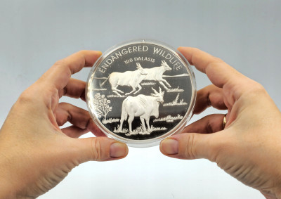 Gambia 100 Dalasis 1995 32 Oz RZADKOŚĆ 1 kg SREBRO