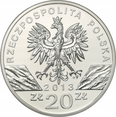 III RP. 20 złotych 2013 Żubr