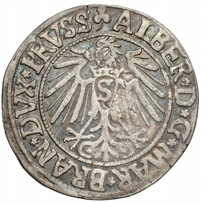 Prusy Książęce. Grosz 1541, Królewiec – ŁADNY