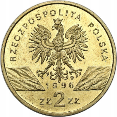 III RP. 2 złote 1996, Jeż - RZADKIE