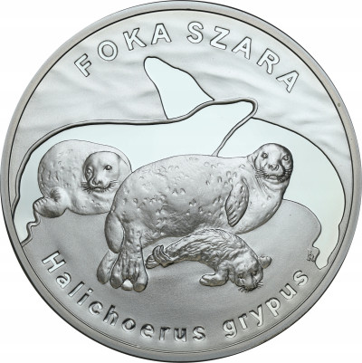 20 złotych 2007 foka szara - SREBRO