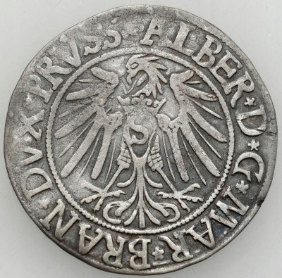 Pr. Książęce. A. Hohenzollern Grosz 1538 Królewiec