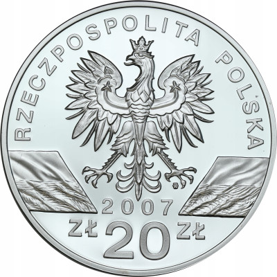 20 złotych 2007 foka szara - SREBRO