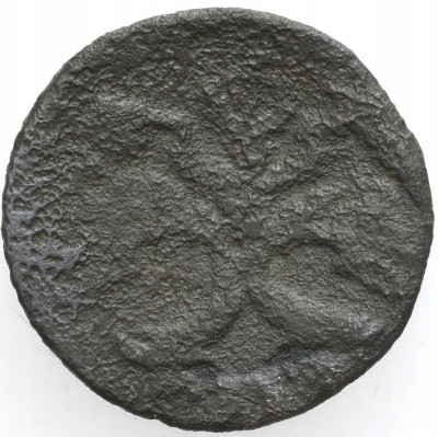 Rosja, Piotr I. Połuszka 1720