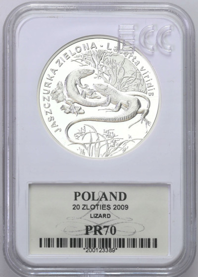 III RP 20 złotych 2009 Jaszczurka Zielona GCN PR70