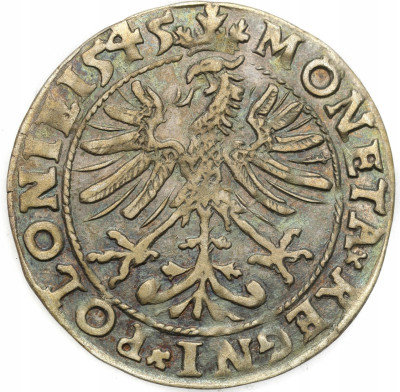 Zygmunt I Stary. Grosz 1545, Kraków – ŁADNY