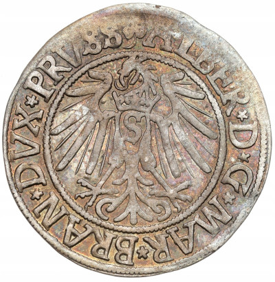 Albert Hohenzollern. Grosz 1541, Królewiec - ŁADNY