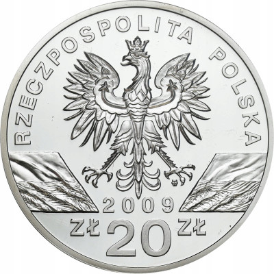 III RP 20 złotych 2009 Jaszczurka Zielona GCN PR70