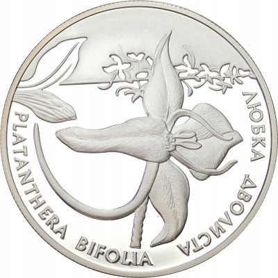 Ukraina 10 hrywien 1999 Podkolan biały - SREBRO