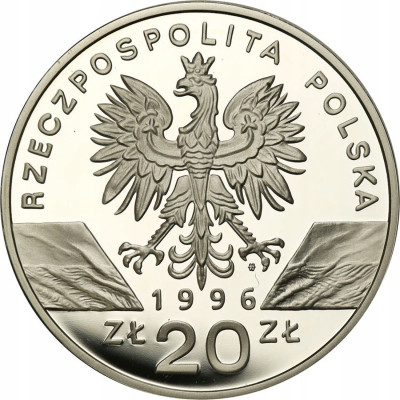 20 złotych 1996 Jeże - SREBRO