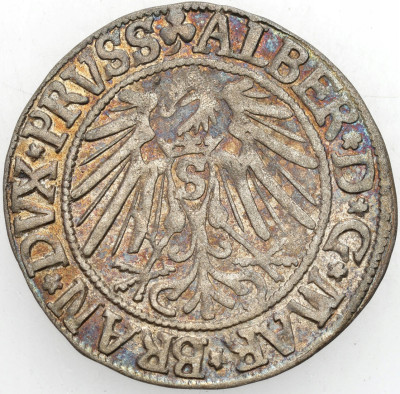A. Hohenzollern. Grosz 1543, Królewiec – ŁADNY