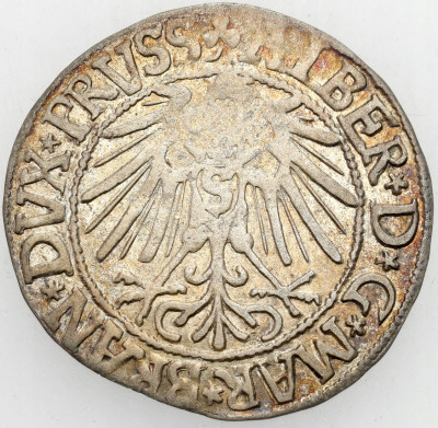 A. Hohenzollern Grosz 1546, Królewiec – RZADSZY