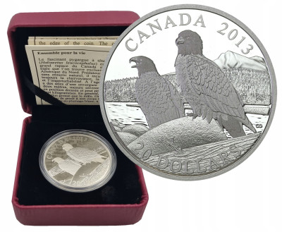 Kanada 20 dolarów 2013 Orły – SREBRO