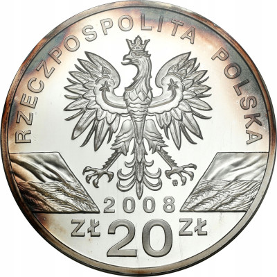 III RP. 20 złotych 2008 - Sokół Wędrowny – SREBRO