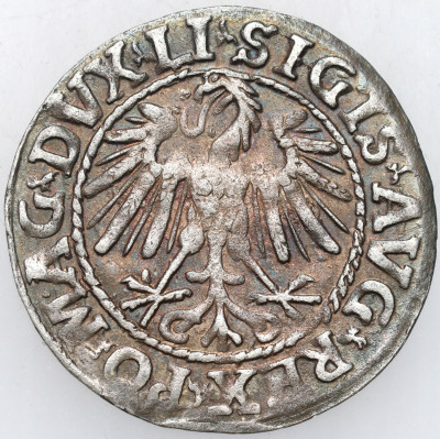 Zygmunt II August. Półgrosz 1547, Wilno