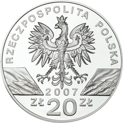 20 złotych 2007 Foka Szara - SREBRO