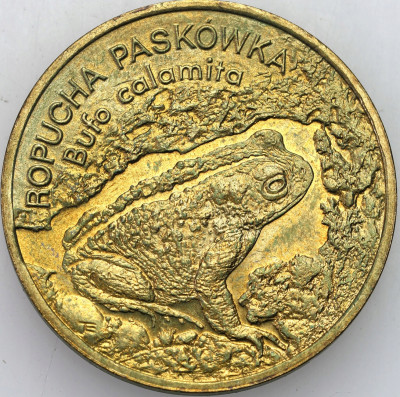 III RP. 2 złote 1998 Ropucha Paskówka – RZADSZE