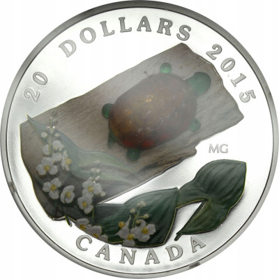 Kanada 20 dolarów 2015 żółw