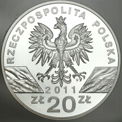 III RP 20 złotych 2011 Borsuk GCN 70 - SREBRO