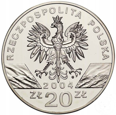 III RP 20 złotych 2004 Morświn – SREBRO