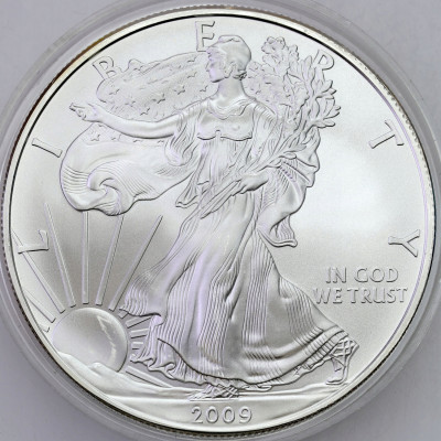 USA 1 dolar 2009 Liberty – UNCJA SREBRA