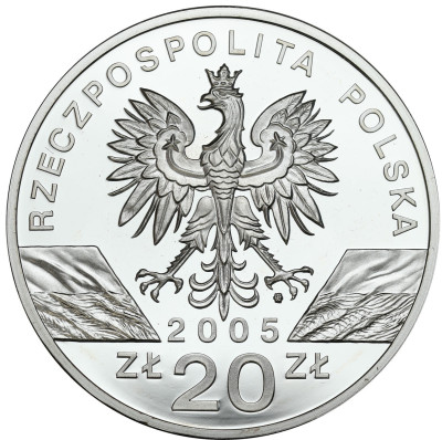 III RP 20 złotych 2005 Puchacz - SREBRO