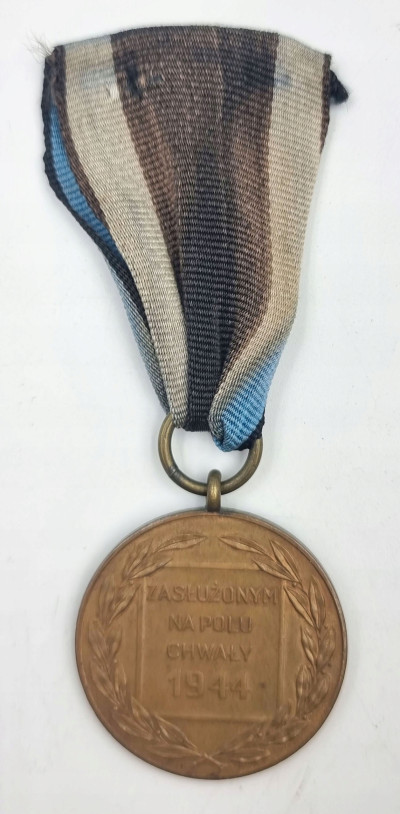 Brązowy medal Zasłużony na Polu Chwały – Caritas