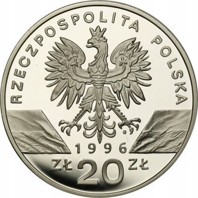 20 złotych 1996 Jeż
