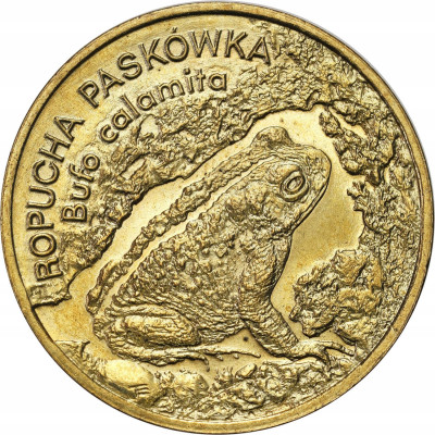 III RP 2 złote 1998 Ropucha Paskówka