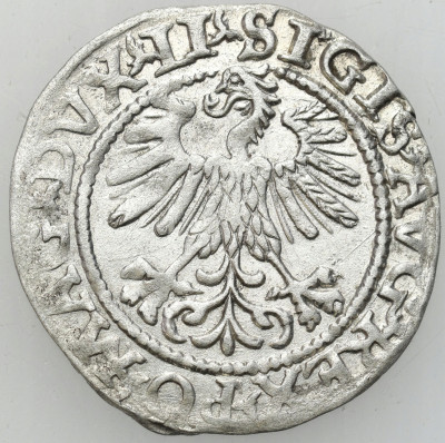 Zygmunt II August. Półgrosz 1560, Wilno - ŁADNY