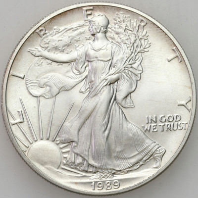 USA. 1 dolar 1989 Liberty – SREBRO